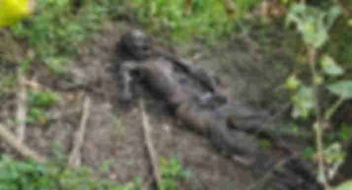 झाड़ियों में नर कंकाल मिलने से मची सनसनी, मृतक की शिनाख्त में जुटी पुलिस, कहा- पीएम रिपोर्ट में होगा मौत के कारणों का खुलासा