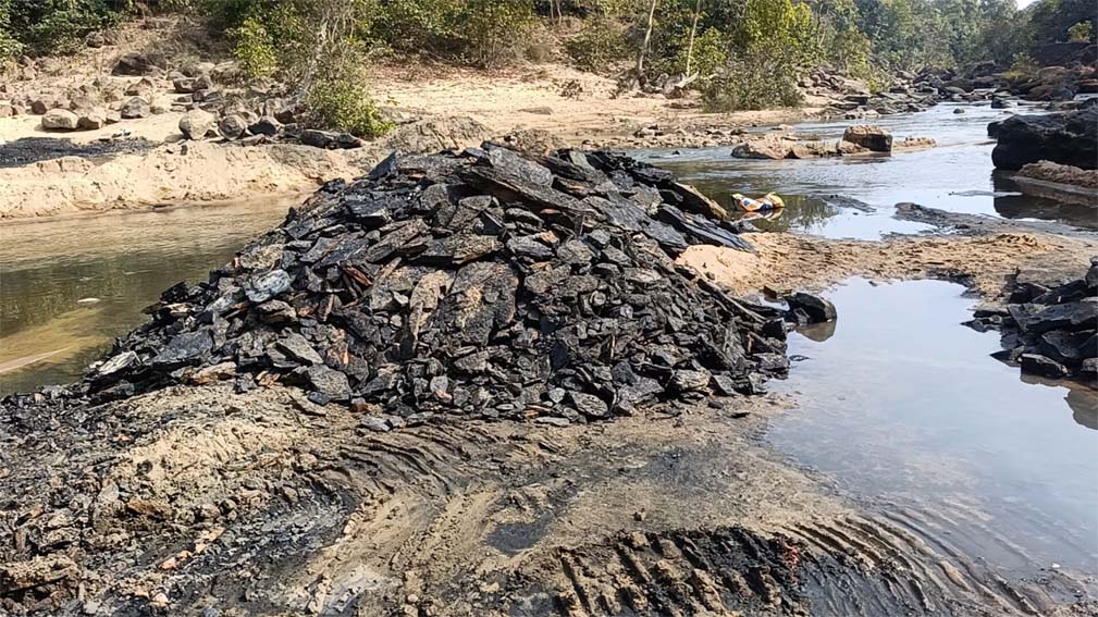 मशीन लगाकर जंगल में कोयलें की खुदाई, किसके शह पर चल रहा कोयले का खेल