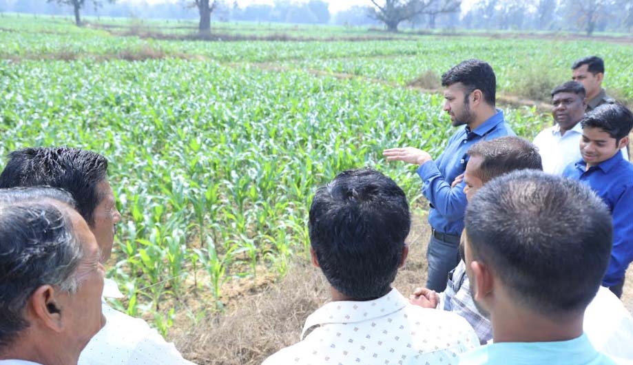ग्रीष्मकालीन धान के स्थान पर मक्का-उड़द की खेती को मिले बढ़ावा, किसानों की आय वृद्धि के लिए कलेक्टर ने कृषि विभाग को वैकल्पिक फसलों हेतु ठोस कार्ययोजना तैयार करने के दिए निर्देश