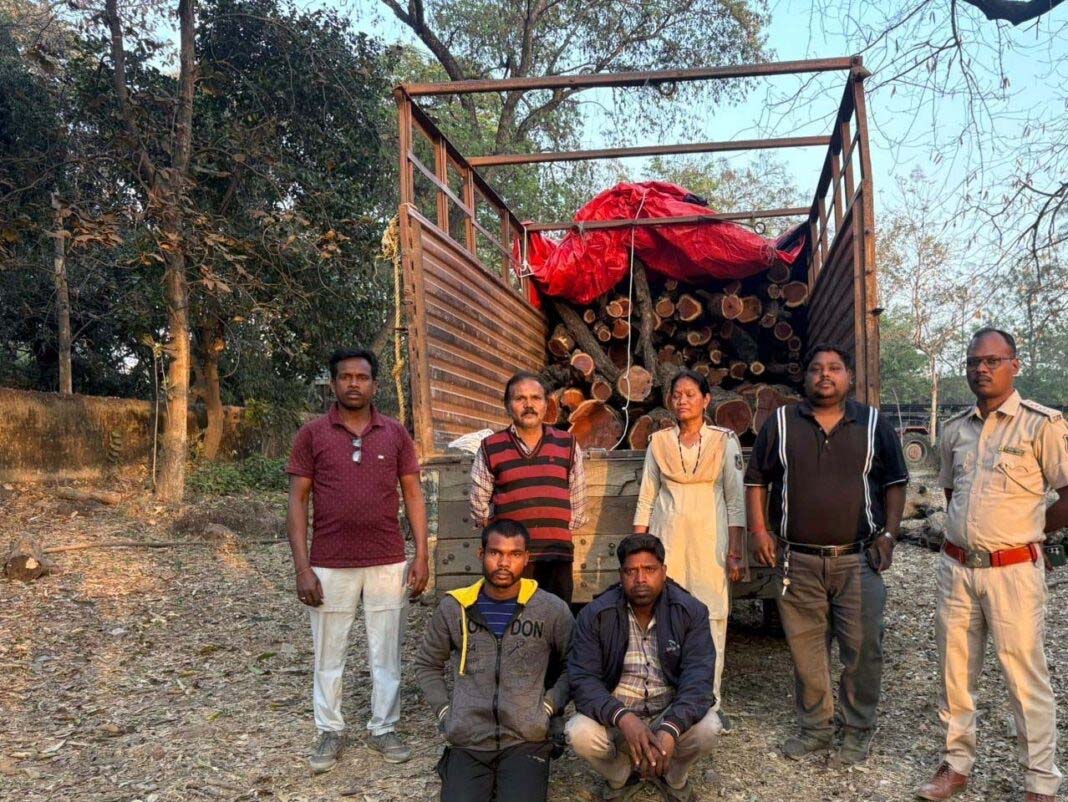 वन विभाग ने अवैध तस्करी का किया भंडाफोड़ , भारी मात्रा में खैर लकड़ी बरामद, चांपा में गुप्त गोदाम पर छापा