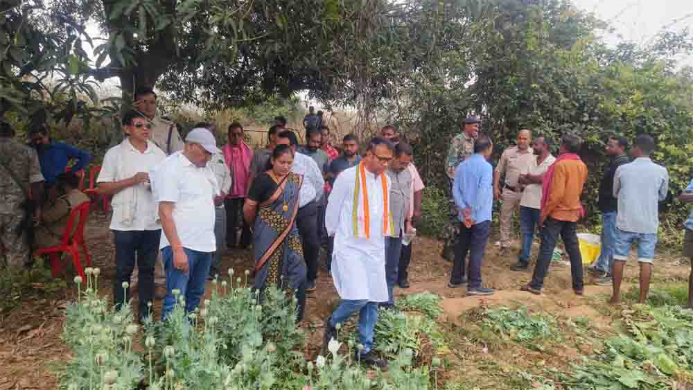 अफीम की खेती देखने जिला अध्यक्ष नगेन्द्र नेगी के नेतृत्व में तमनार पहुंचे कांग्रेस का प्रतिनिधिमंडल, दुर्ग-बालरामपुर के बाद अब रायगढ़ में अफीम की खेती का बड़ा खुलासा, कांग्रेस का तीखा हमला- जांच की मांग