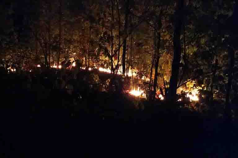 धधक रहे हैं जंगल; महुआ चुनने वालों की लापरवाही से बढ़ रहा संकट