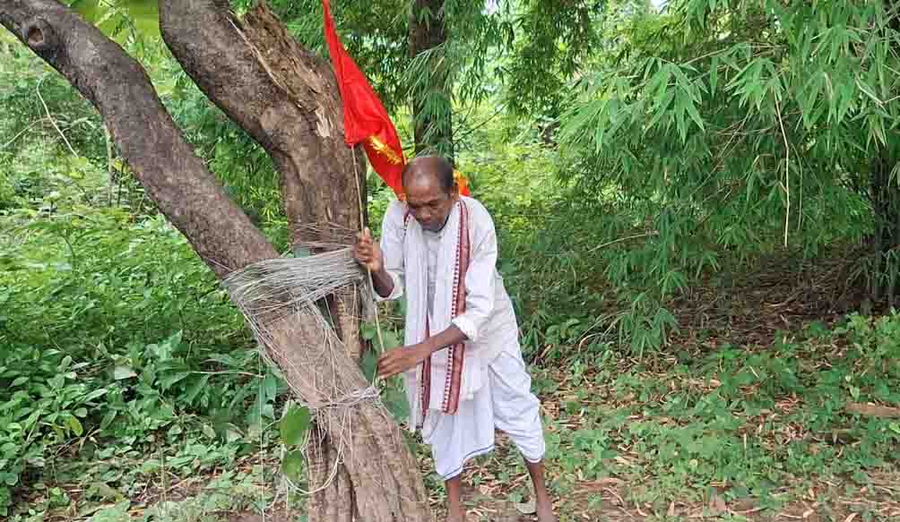हरेली तिहार पर बैगा ने किया गांव की खुशहाली और अच्छे फसल की कामना लेकर किया पूजा पाठ, पाठ माउली, घाट माउली , गौटीन गौंटिया, भात परसी, ठाकुर देव और रक्सा की हुई पूजा